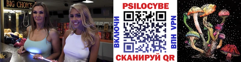 Псилоцибиновые грибы Psilocybine cubensis  сколько стоит  Слюдянка 